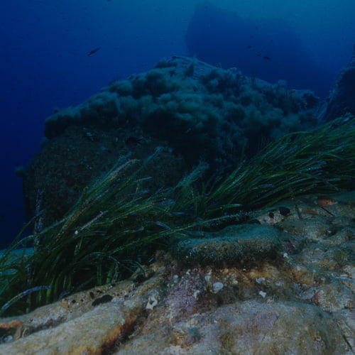mangiare a villasimius